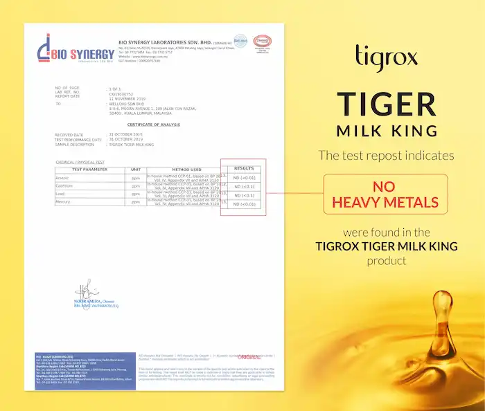 COA (No Heavy Metals) EN