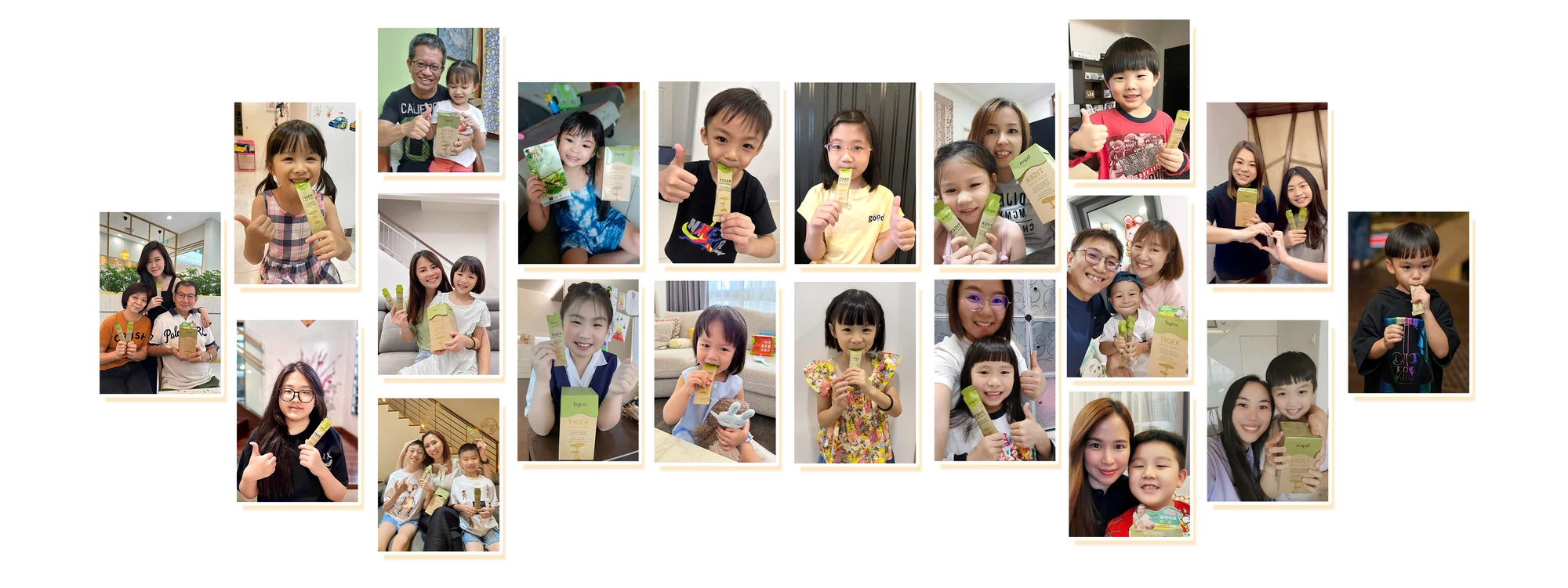 Happy Tigrox families