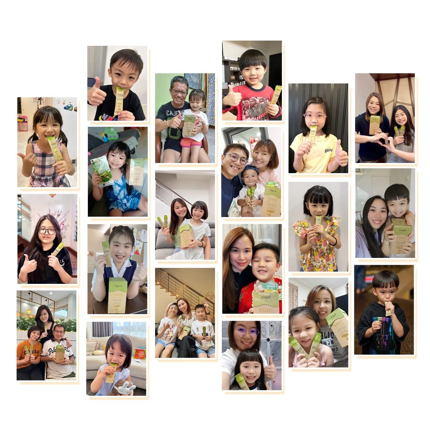 Happy Tigrox families